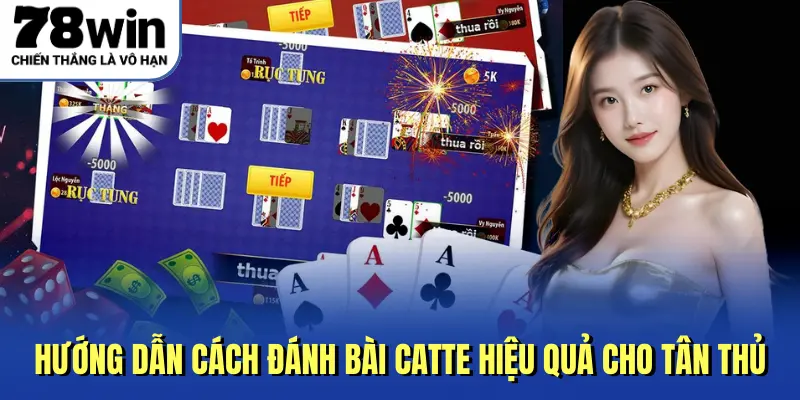 Hướng dẫn cách đánh bài catte hiệu quả cho tân thủ
